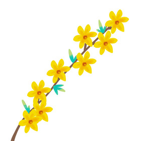 黄色迎春花图片