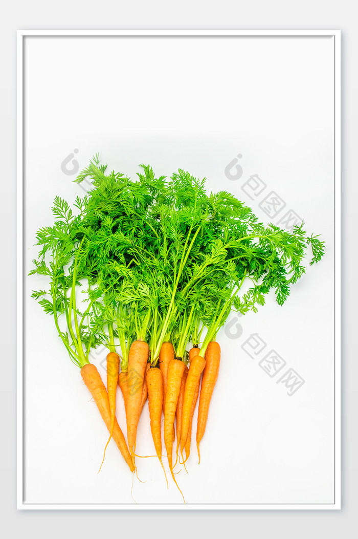 新鲜蔬菜手指萝卜图片图片