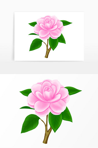 茶花植物卡片制作图片