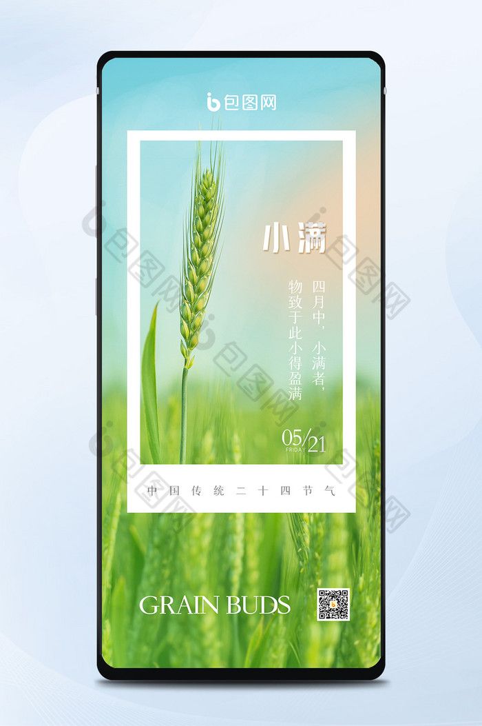 清新唯美简约小麦摄影图24节气小满海报图片图片