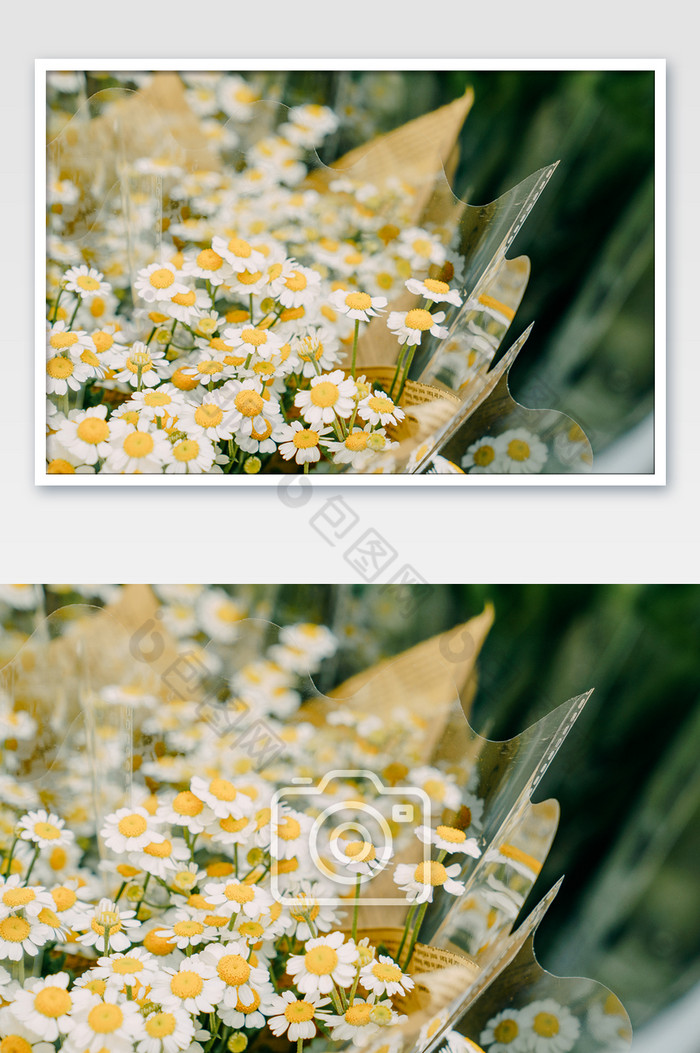 花卉花束花朵鲜花摄影图图片图片