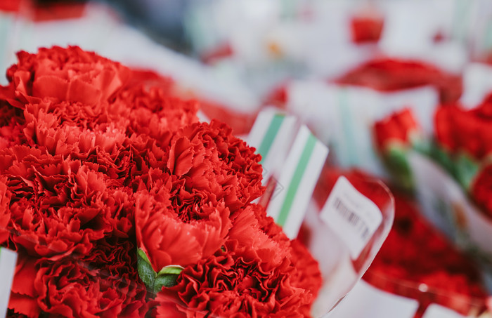 红色鲜花康乃磬花卉花束摄影图图片
