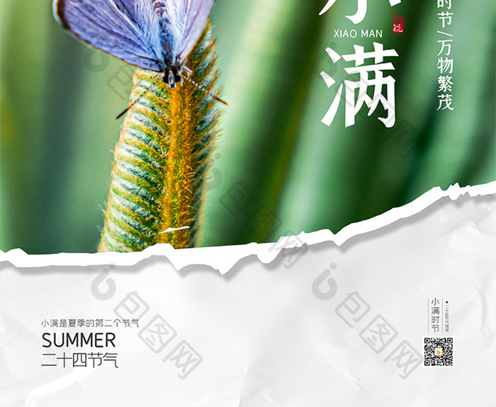 简约纸质质感撕纸效果夏天24节气小满海报