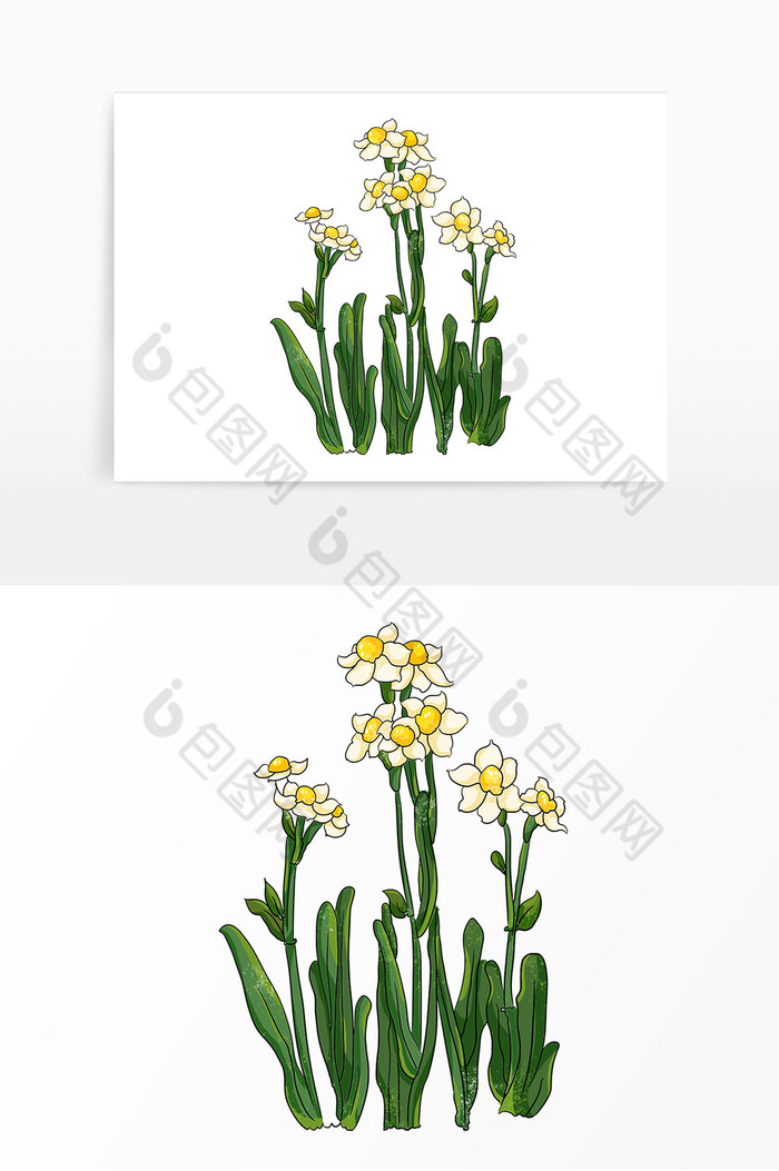手绘花鲜花春季水仙花装饰模板 包图网