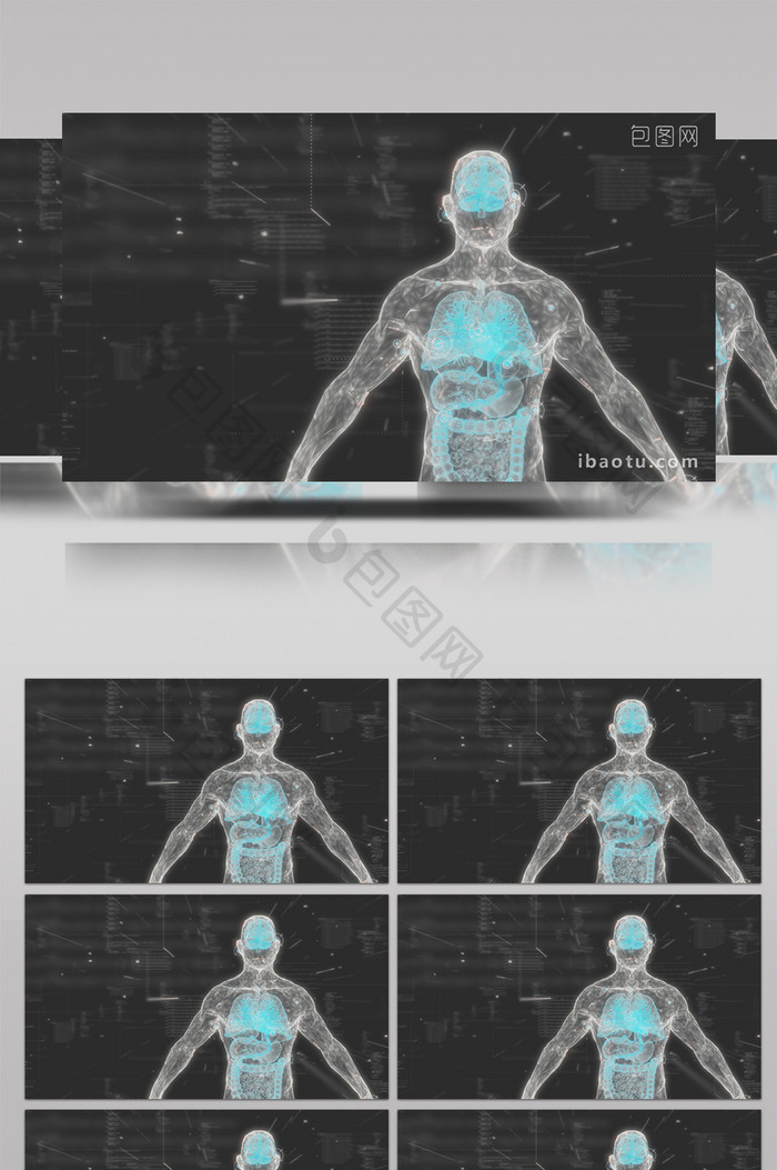 4K科技人体X射线医学高清背景视频