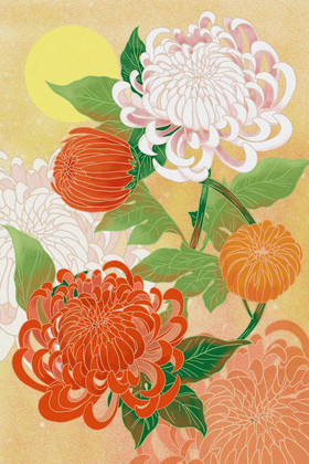 中国风菊花插画图片