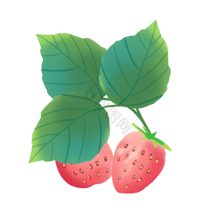 草莓新鲜水果图片
