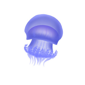 发光水生物动物水母