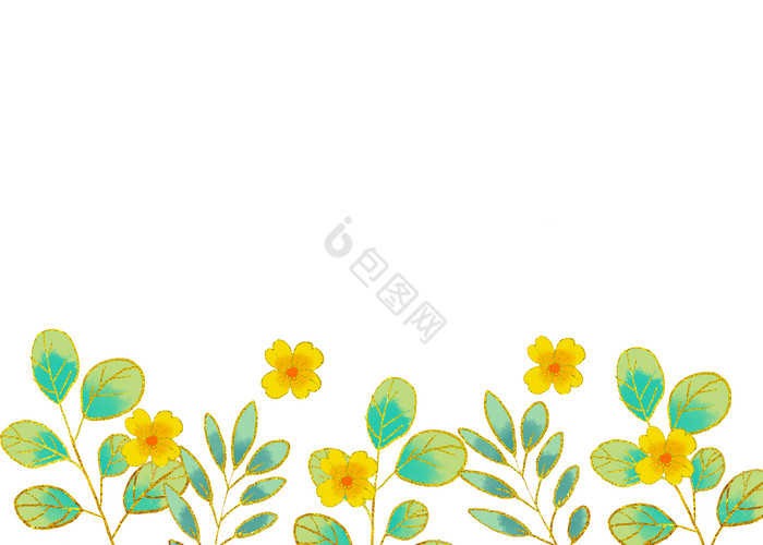 金边植物花草花卉图片