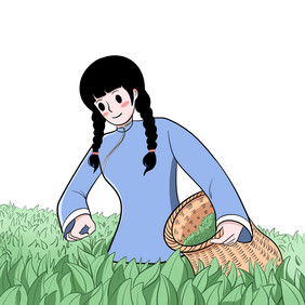 茶山绿茶茶园采茶女