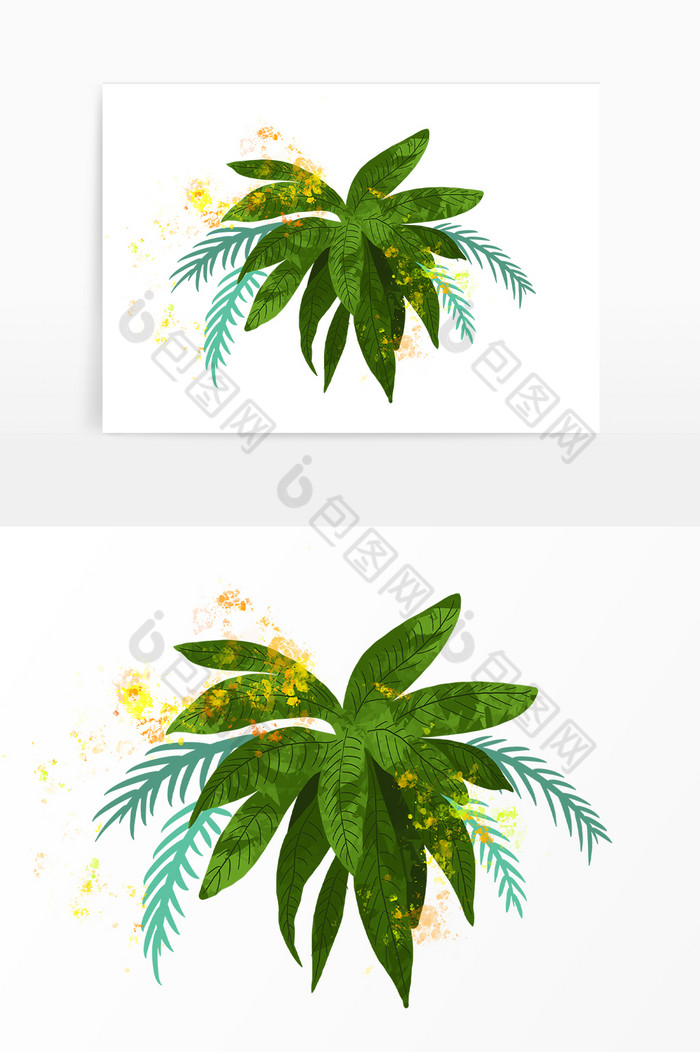 阔叶植物叶子绿叶图片图片
