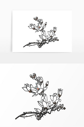 水墨白玉兰树木花枝