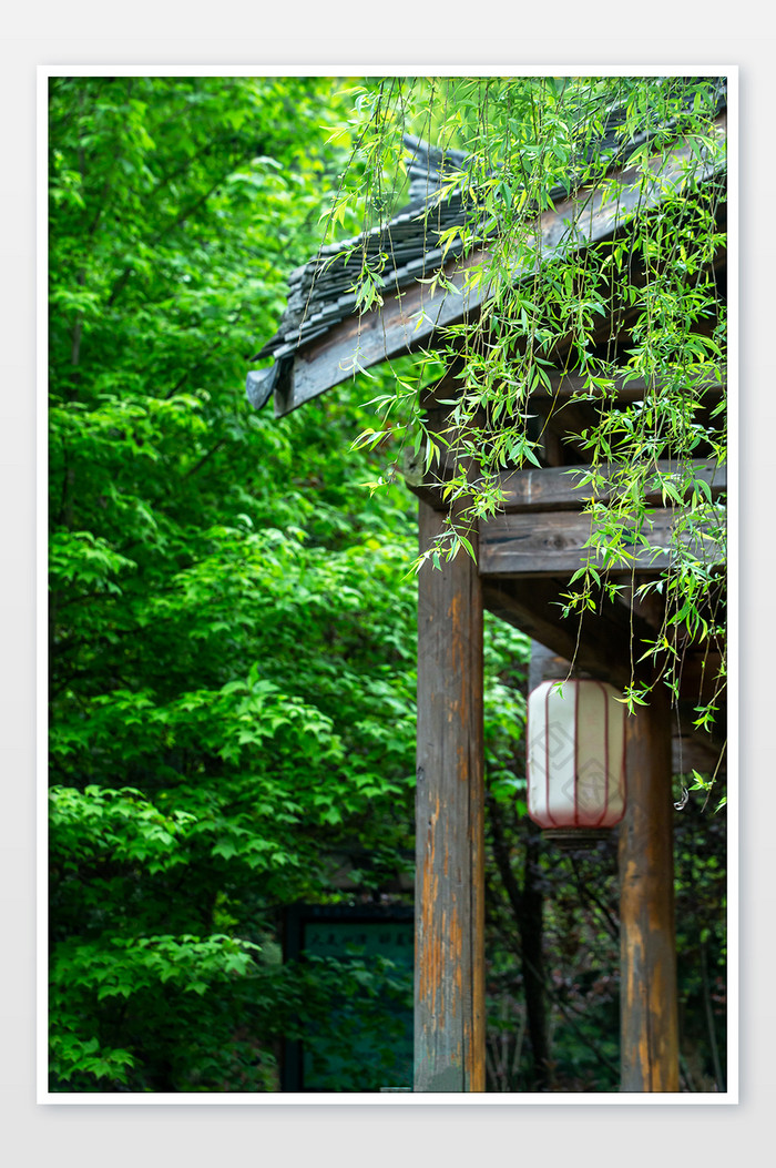 立夏节气古风元素背景