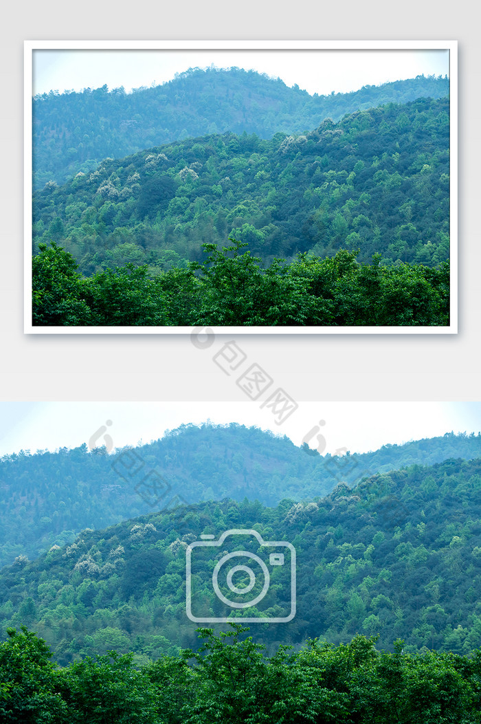 碧绿群山山林山峰图片图片