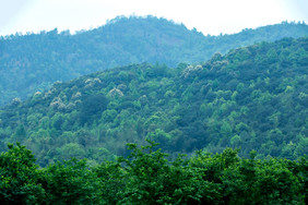 碧绿群山山林山峰