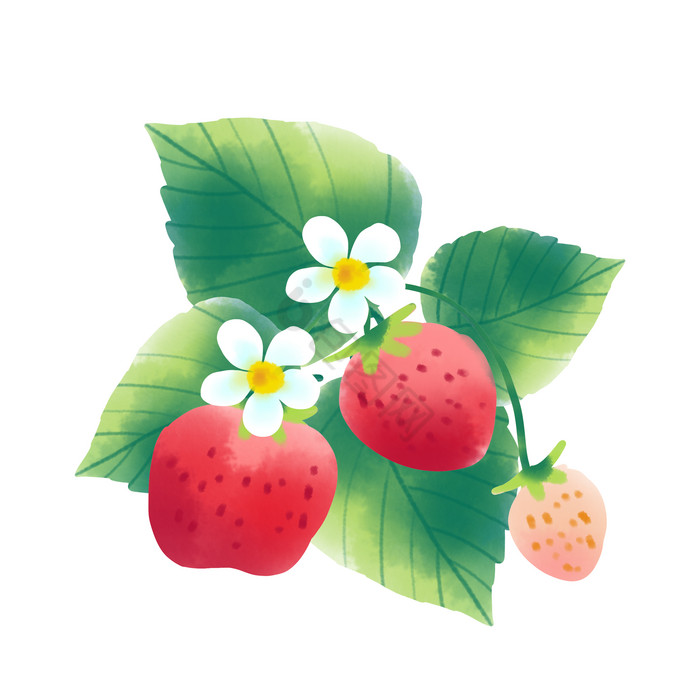 大草莓鲜草莓水果图片