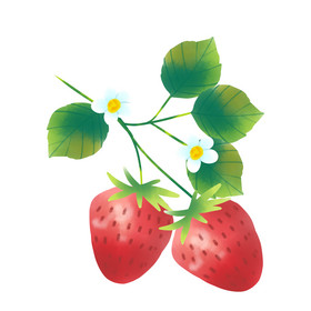 新鲜水果大草莓鲜草莓
