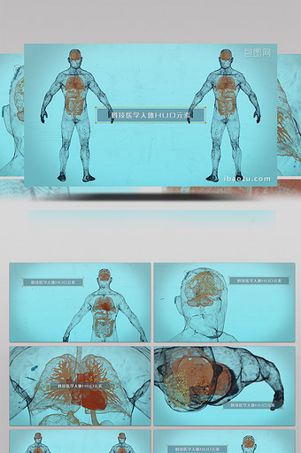 4K科技医学HUD人体射线AE模板图片