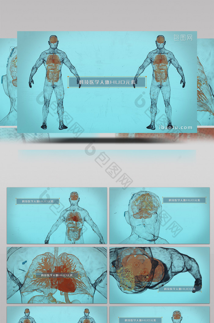 4K科技医学HUD人体射线AE模板