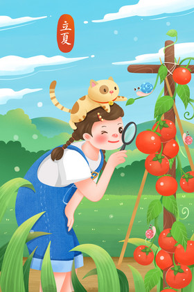夏天立夏女孩观察成熟的蕃茄藤插画