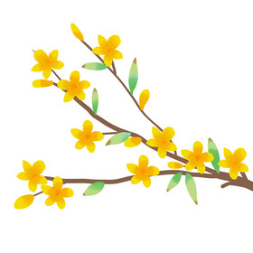 黄色迎春花图片