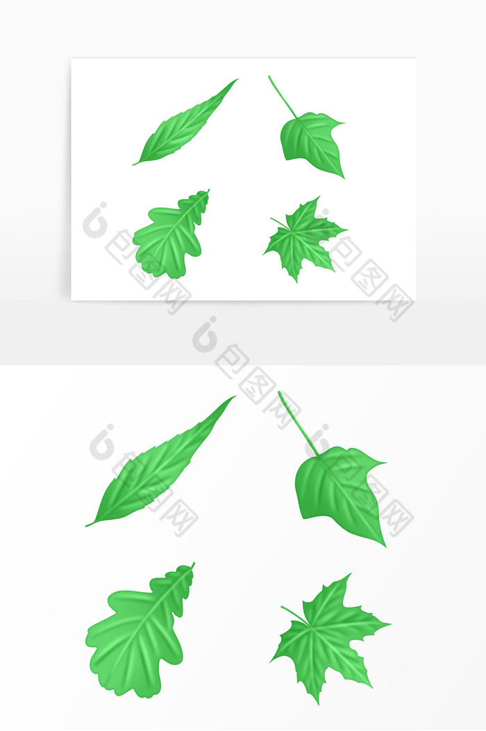 植物树叶绿叶叶子图片图片