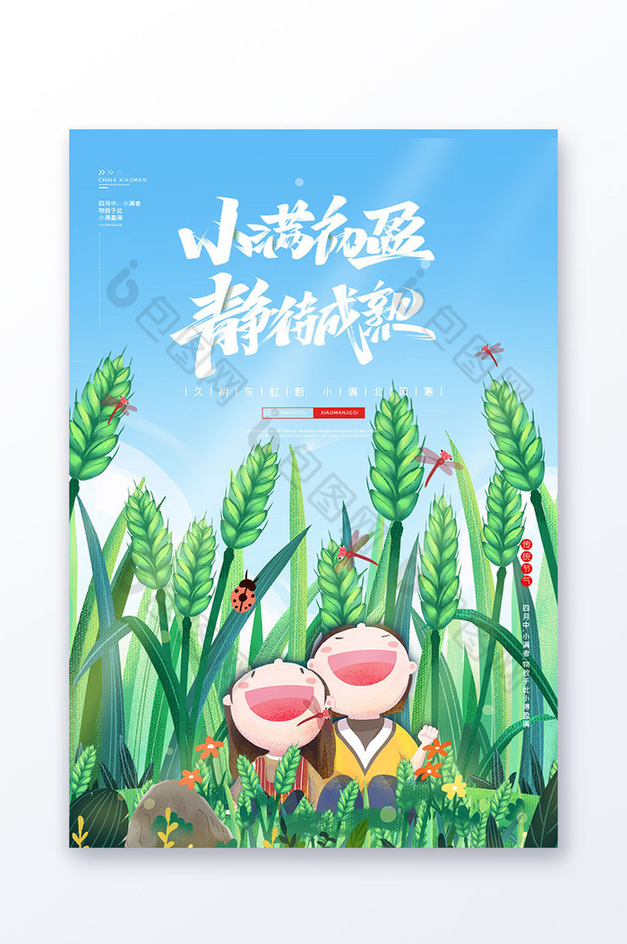 风节气小满初盈静待成熟麦穗图片图片