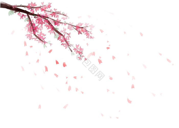 桃花花朵花瓣边框图片