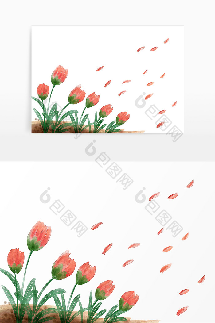 植物花朵花瓣边框图片图片