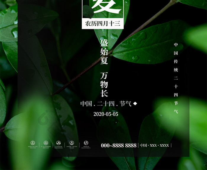 ins风格绿色植物简约时尚立夏海报