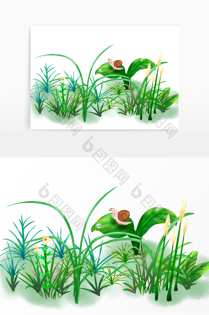 春天植物花草蜗牛图片图片