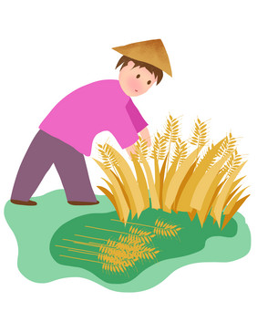 农耕芒种丰收小麦麦子