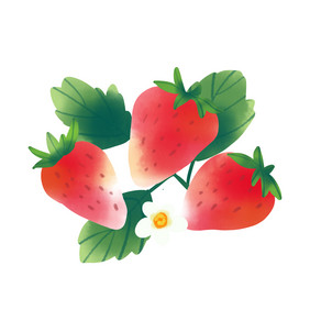 健康食物水果大草莓