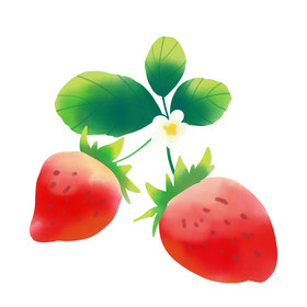 红草莓大草莓鲜草莓图片