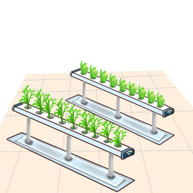 科技农业种植青菜