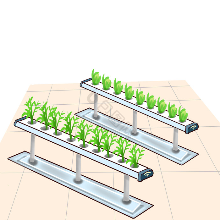 科技农业种植青菜图片