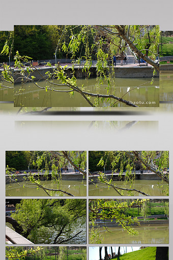 早春时节绿意盎然的湖畔公园图片