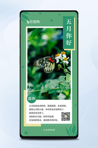 绿色树枝蝴蝶花朵五月你好每日一签手机海报图片