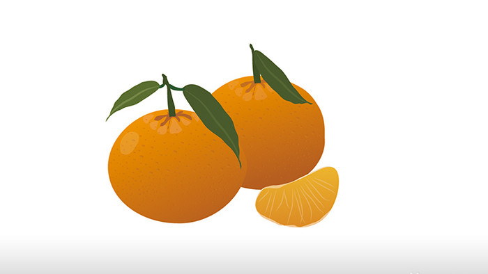 简单扁平画风食物类水果类橘子mg动画
