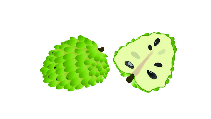 简单扁平画风食物类释迦果mg动画
