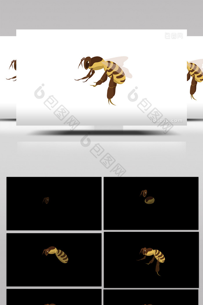 简约扁平画风卵生动物类蜜蜂mg动画