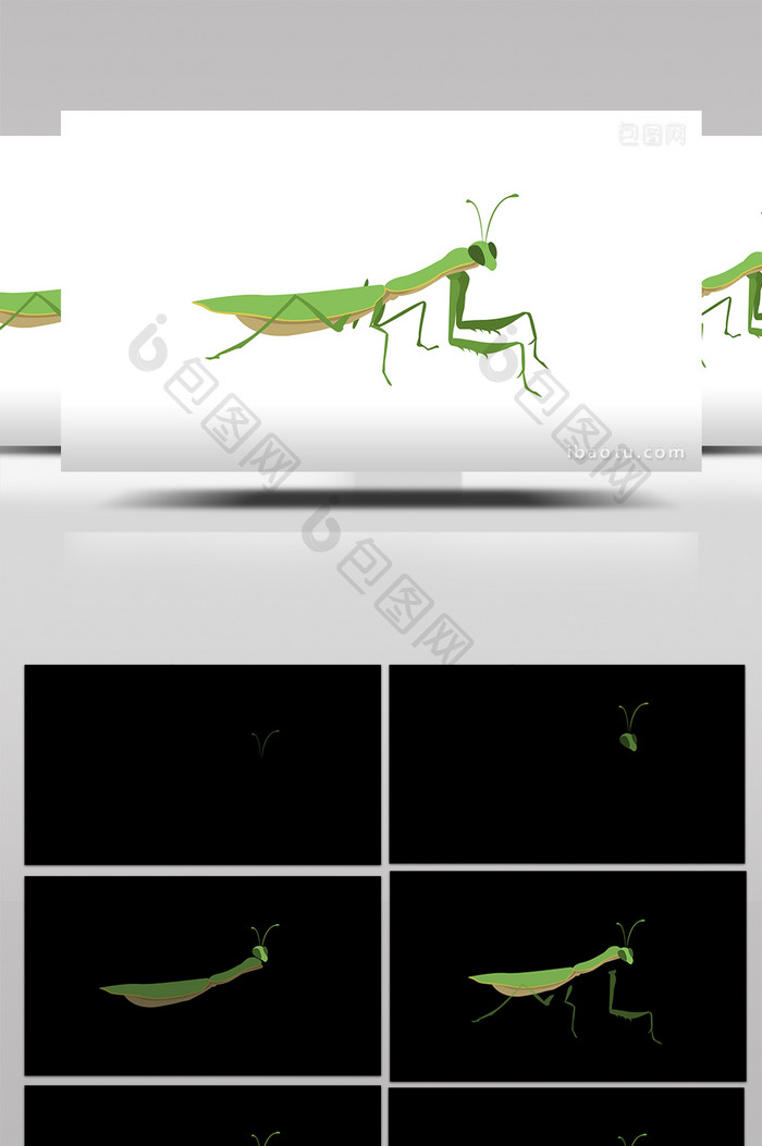 简约扁平画风卵生动物类螳螂mg动画