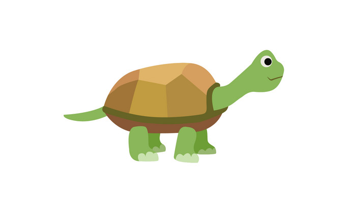 简约扁平画风卵生动物类乌龟mg动画