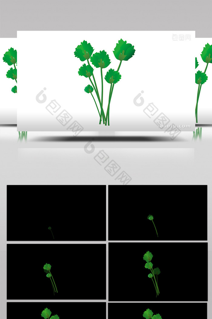 简约扁平画风蔬菜类食物香菜mg动画