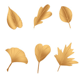 铂金树叶叶片叶子