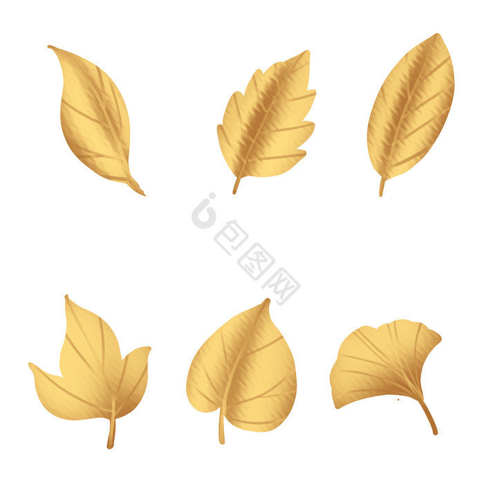 金色铂金叶子树叶叶片图片