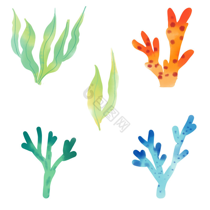 海洋生物珊瑚水草图片
