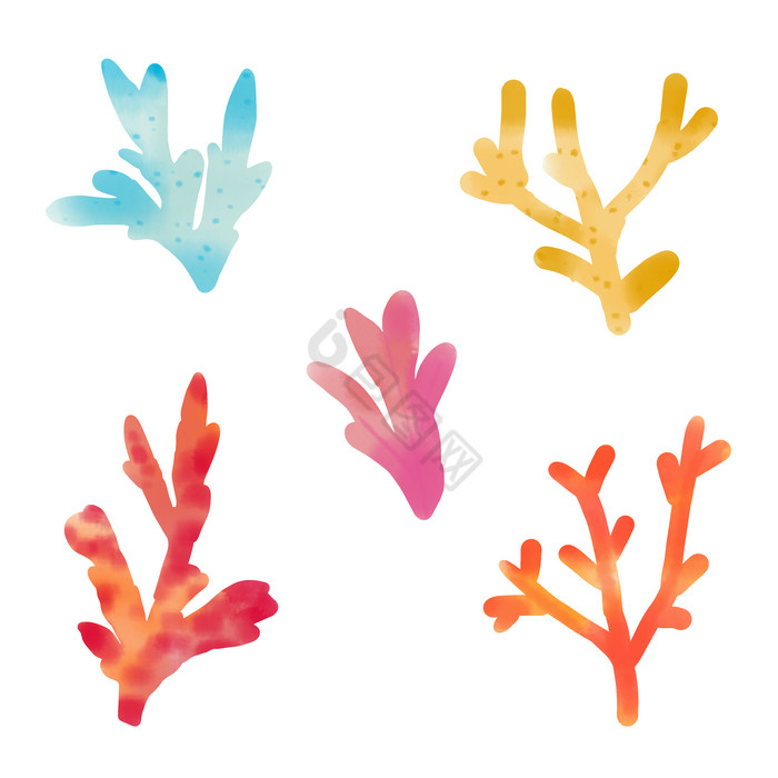海洋生物水草珊瑚图片