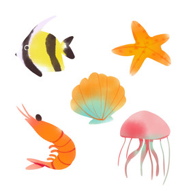 海洋生物小鱼海星贝壳