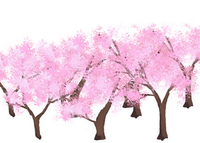 粉色桃树林满枝花开
